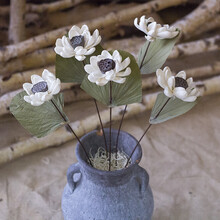 睡莲清新自然家居店面装饰艺术干花花束花插睡莲花 白色B款 1枝