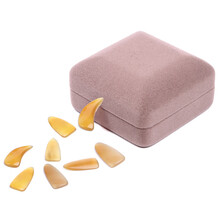 相思鸟(LOVEBIRD)古筝指甲 牛角成年人儿童指甲 生料手工打磨 乐器配件 凹槽薄款8片装 XS1035中号