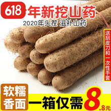 山药新鲜带箱5斤小白嘴铁杆铁棍淮山怀麻山药 非河南焦作温县垆土 带箱4.8斤
