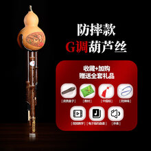 葫芦丝乐器初学者c调降b调a调g调f调小d调儿童小学生入门男女自学 防摔型 G调葫芦丝