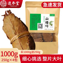 逸参堂 广西桂林山楂叶 山楂叶茶 花草茶泡茶 山楂叶 1000g（2斤）+送500g（1斤）