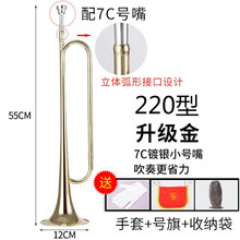 青年号学生初学降b调吹号乐器军号冲锋号纯铜成人小号乐器 金色旗舰款配省力7C号嘴+号旗+手套+收纳袋