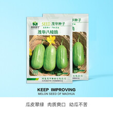 中科茂华 瓜果蔬菜种子 茂华八棱脆菜瓜种子 无棱绿皮菜瓜 低糖型 肉脆多汁 鲜食香瓜可凉拌 早熟丰产 茂华八棱脆20克/袋