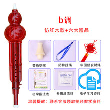 XINXIANGXI 葫芦丝乐器初学c调降b调儿童中小学生成人演奏型胡芦丝自学 红色降b调(无盒)+
