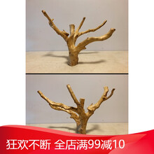 杜鹃根树根沉木水草造景鱼缸木头小型水榕免煮天然沉木细莫斯树形 E3898