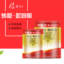 沪联歼飞80%烯啶虫胺吡蚜酮水稻稻飞虱蚜虫粉虱杀虫剂 3g