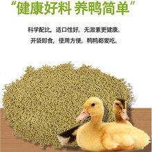 柯尔鸭小鸭饲料喂鸭专用宠物柯尔鸭小黄鸭子鹅鸡吃的粮食颗粒家养玉米 250g小鸭饲料