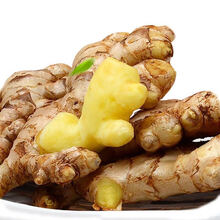 新鲜云南生态小黄姜生姜老姜批发嫩姜仔姜月子姜整箱现挖 精选整块装 1斤装(净重)