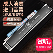 德国进口音簧口琴高级成人专业演奏级重音28孔调复音初学者学生入门 28孔黑色重音带音标【稍难送礼品】