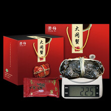 【活蟹】现货澄伯大闸蟹鲜活特大螃蟹公蟹可全母蟹活体 海鲜水产生鲜礼盒 现货公4.5两母3.5两8只装
