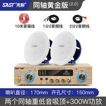 先科 吸顶式5.1家庭影院音响套装电视机家用客厅吊顶音箱3d环绕立体声嵌入式重低音功放套装蓝牙KTV 2.0（同轴重低音音响*2+300W功放）
