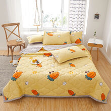 楚歌质优品 夏季水洗棉夏凉被空调被单人夏被双人春秋被学生被芯儿童卡通被子 胡萝卜 100x140cm【单件夏凉被】