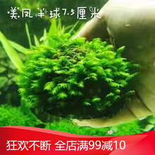 莫斯阴性活体水草鱼缸增氧水族箱沉木造景装饰不用水草泥一年四季 美凤半球7.5CM(拍5送2)
