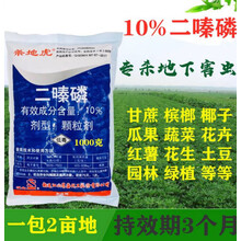 杀地虎10%二嗪磷小紫药地下害虫花卉园林果树土虫丹杀虫剂 20kg
