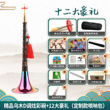 乌木唢呐D调精品唢呐民族风吹奏唢呐乐器全套 精品乌木D调炫彩碗+12大+定制唢呐包