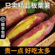 （顺丰新货）新鲜蜜薯农家板栗薯山东黄心地瓜糖心小番薯沙地红薯 9斤精品