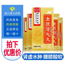 同仁堂 金匮肾气丸大丸6g*10丸补肾阳虚金贵肾气丸药金葵肾气丸金亏肾气丸肾虚丸NK 5盒360粒【治男肾虚片】