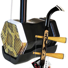 长尧 普及色木学习二胡初学二胡学习练习二胡民族乐器 大皮花98型二胡+轻体盒