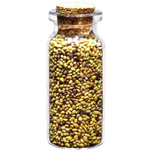 鱼麒麟 水草种子鱼缸造景 水族箱装饰懒人水草泥前景草淡水植物造景速成 幸运草种子 15g/瓶*1