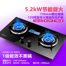 好太太煤气灶双灶家用嵌入式天然气灶台式燃气灶液化气灶猛火炉具 5.2KW双文火+熄保+防爆面板 天然气