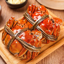 【活蟹】姚鲜品旗舰店  大闸蟹礼盒鲜活特大螃蟹活体现货公母产地直发缺重包赔 2两母3两公对半 10只装