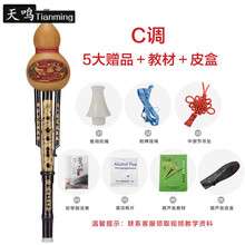 防摔葫芦丝乐器初学者C调小d天然成人入门零基础小学生 经典款C调【送礼包+教材+皮盒】