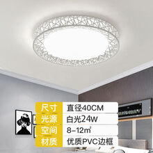 LED吸顶灯圆形简约现代客厅灯卧室灯餐厅阳台走廊厨房间过道灯具 圆鸟巢40CM白光24W限1