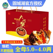 【活蟹现货】必有重蟹清水大闸蟹固城湖鲜活螃蟹特大全母全公河蟹毛蟹六月黄大蟹生鲜海鲜水产中秋礼盒装现货 【礼盒】公3.0-2.8两母2.1-1.8两12只