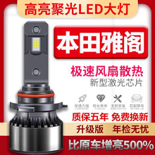 适用于本田六七八九代雅阁汽车led前大灯改装聚光近光灯远光灯泡 5/6/7/8代雅阁 近光灯9006 一个价 单支装