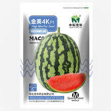 美农汇 小型礼品西瓜种籽山东全美2k4k小西瓜种子黄皮西瓜薄皮早春红玉小西瓜籽特色绿皮黄瓤西瓜种子 金美4K西瓜种子20粒(单瓜2.5-4kg)