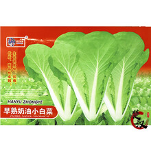 一播大地 甜脆小白菜 鸡毛菜蔬菜种子菜籽 阳台庭院田园种菜盆栽四季简装 早熟奶油小白菜 原包装