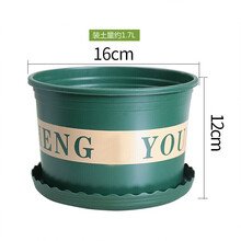 豪萌 加仑盆加托盘加厚树脂塑花盆椭圆形花盆大号栽树兰花铁线莲多肉绿萝月季阳台种花种菜园艺 矮胖加仑盆1号 一个带托盘