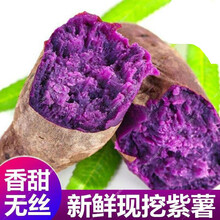 2020现挖新鲜紫罗兰紫薯3/5/9斤粉糯糖心蜜薯红薯农家自种 5斤