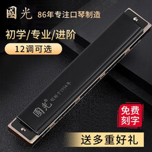 上海国光口琴专业演奏级24孔复音12调ABCDEFG初学者学生成人口琴 黑色复音#D调