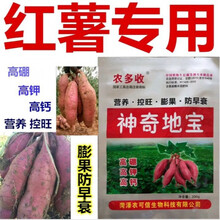 神奇地宝红薯专用控旺膨大素控上促下薯块匀称高硼高钾高钙 200克/袋 2袋