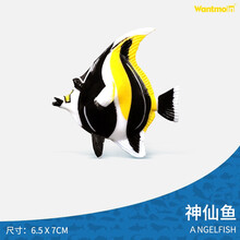 玩模乐儿童玩具实心仿真动物海洋生物模型螃蟹神仙鱼鹦鹉螺草海龙 儿童认知玩具3-10岁 黑神仙鱼