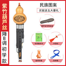 葫芦丝乐器初学者c调降b调儿童小学生入门演奏成人男女自学 紫竹初学款降B调(民族图案)全套