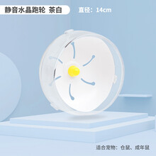 宠尚天 仓鼠跑轮玩具静音支架滚轮金丝熊刺猬用品大号21cm跑步轮子跑球 静音水晶跑轮(茶白14cm)