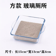 仓鼠金丝熊非迷刺猬厕所 玻璃大号便盘 防打翻厕所砂盘厕所盆 正方形 玻璃厕所