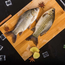 微山湖鲫鱼鲜活新鲜淡水鱼现捕现杀孕妇下奶月子炖汤 顺丰冷链 三斤鲫鱼现杀 每斤4-6条