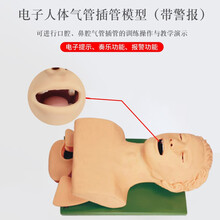 益联医学 电子人体气管插管训练模型 高级人体气管插管训练模型KAS/5S（带报警）