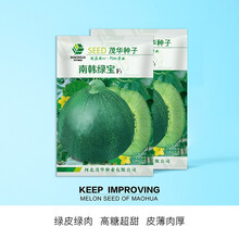 中科茂华 瓜果蔬菜种子 南韩绿宝绿皮绿肉绿宝石甜瓜种子 超甜绿宝香瓜種子 深绿皮薄皮 高产抗病 南韩绿宝600粒/袋
