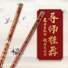 竹笛初学横笛新手笛子黄卫东精制练习成人零基础入门考级笛子一节二节 【单插苦竹G】+全套配件