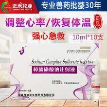 樟脑磺酸钠注射液兽药兽用家畜猪牛羊低温强心急救升温针剂不吃食