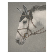 墨斗鱼艺术李娜签名版画限量99版白马龙马精神手工装裱实木画框送领导礼物新中式风格装饰画30*40cm