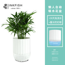 墨斗鱼 水培盆栽花盆 水养种植植物发财树栀子花碧玉绿植花盆吊兰文竹花卉水培花盆竖纹盆2092