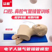 益模 多功能成人电子人体气管插管训练模型 铝箱装 语音牙齿受压警报 口腔鼻腔气道插入练习教具 胃膨胀 KMU/J350电子人体气管插管模型(硬塑箱装)