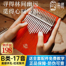 hluru鲁儒拇指琴卡林巴琴17音21音手指琴姆指琴初学者kalimba便携式简单易学乐器大全 B类17音箱式【红花梨木】+琴谱书全套配件