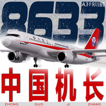 空客a319川航中国机长四川航空3U8633飞机模型仿真客机航模带轮子 标配无灯版