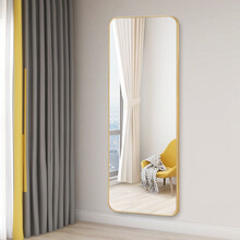 娜兰斯 铝合金穿衣镜全身镜家用挂墙试衣镜壁挂镜子贴墙大镜子全身落地镜 土豪金 50*160